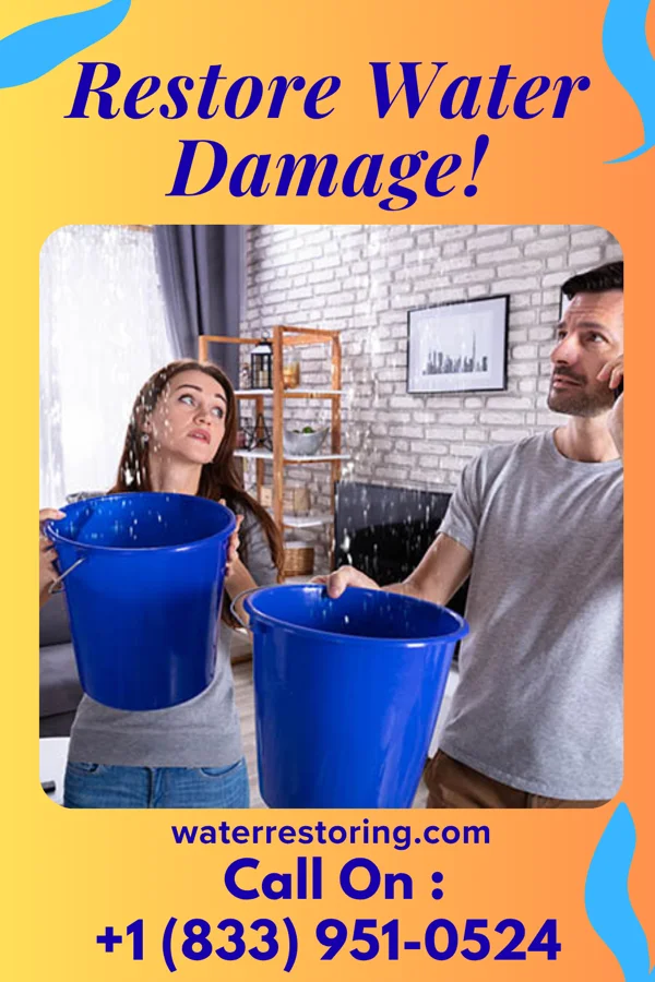 water restoration Pro Restoration Solutions Network Prospect