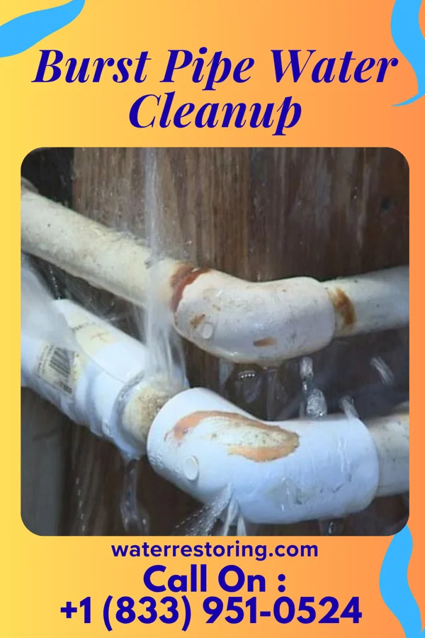 Burst Pipe Water Cleanup in Prospect, OH