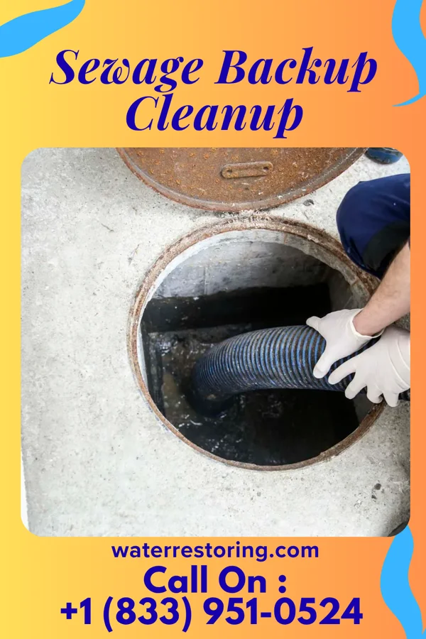 Sewage Backup Cleanup in Prospect, OH